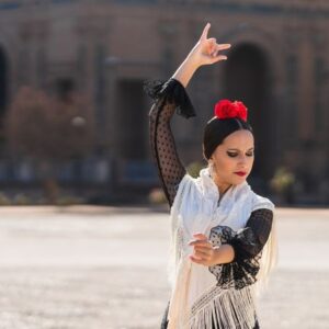 Bursa Özel Flamenko Kursu