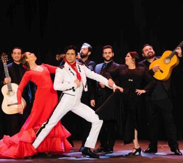 bursa flamenko kursu